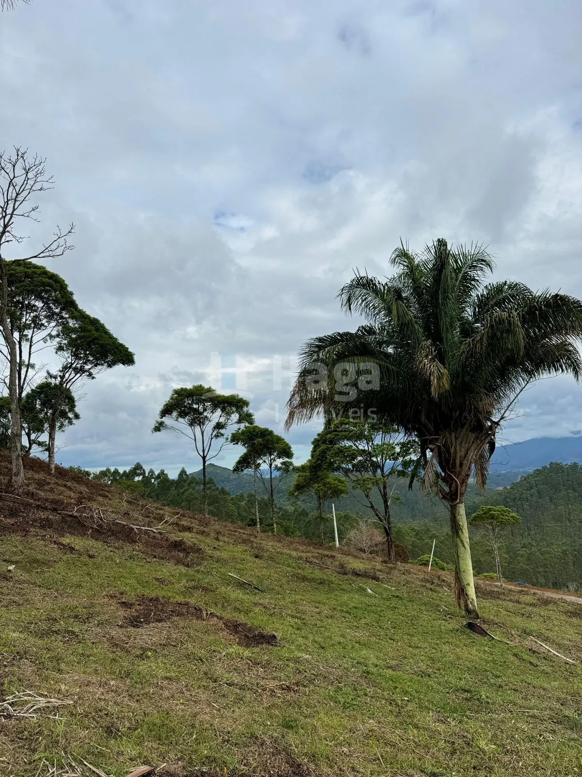 Chácara à venda de 3.484 m² em Canelinha, SC, Brasil