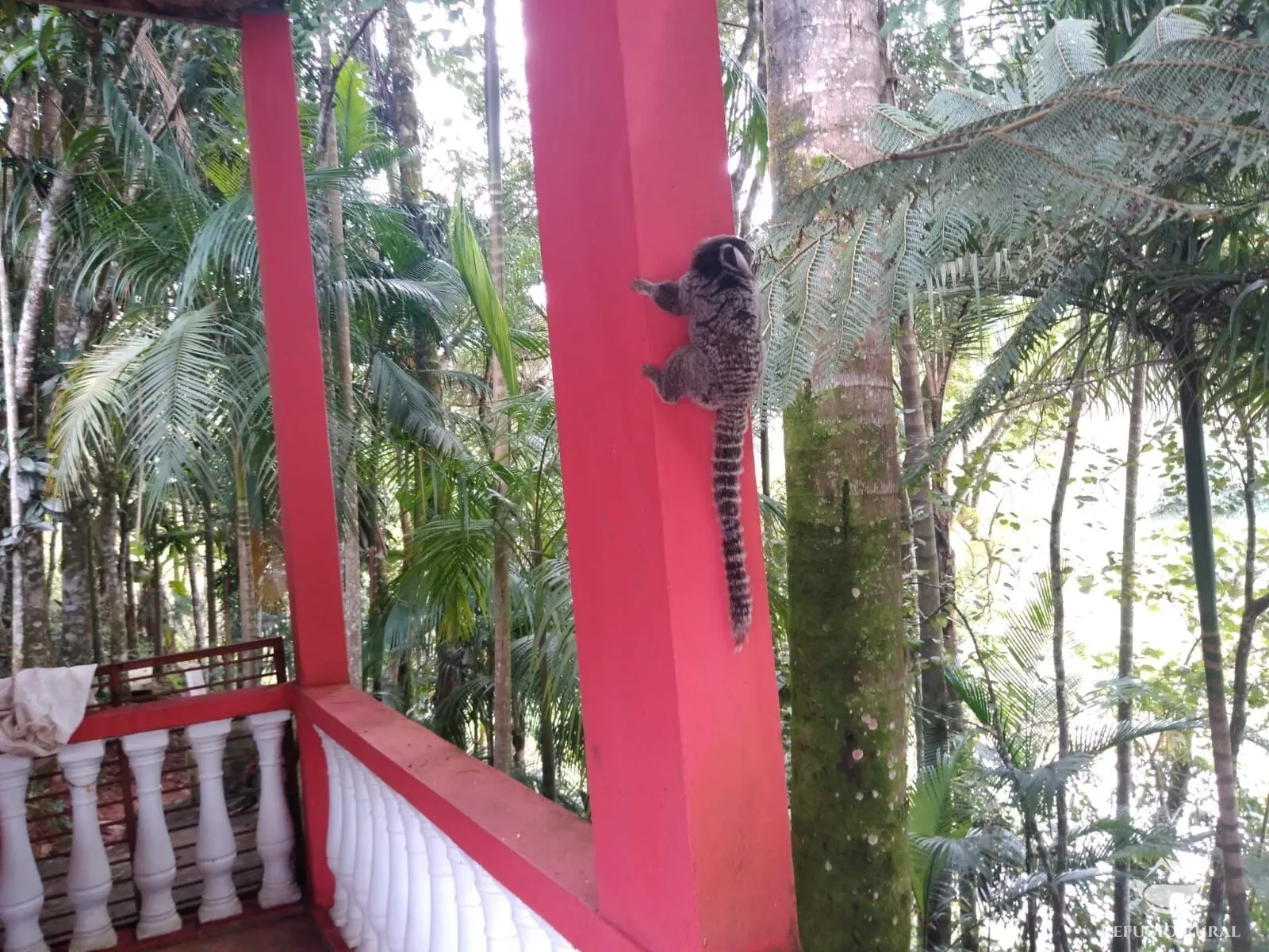 Country home for sale of 2 acres in São José dos Campos, SP, Brazil