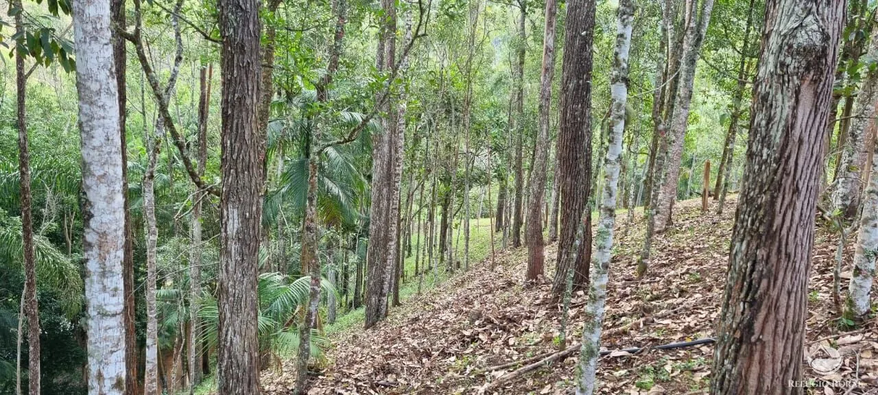 Country home for sale of 2 acres in São José dos Campos, SP, Brazil