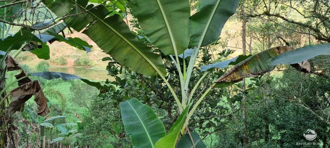 Country home for sale of 2 acres in São José dos Campos, SP, Brazil