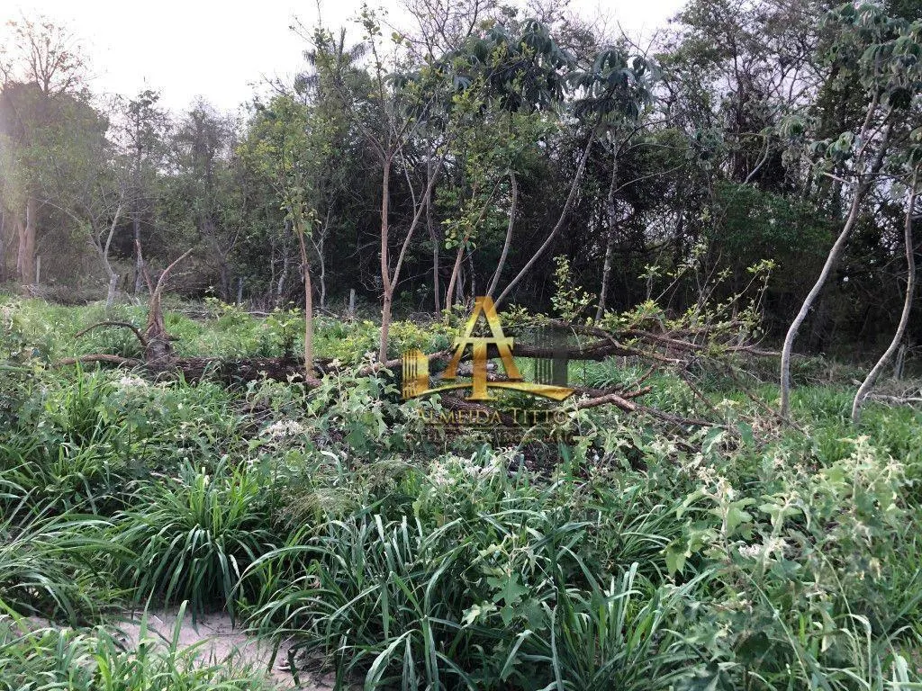 Fazenda à venda de 101 ha em Barbosa, SP, Brasil