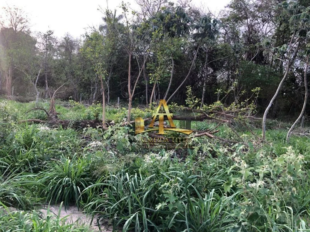 Fazenda à venda de 101 ha em Barbosa, SP, Brasil