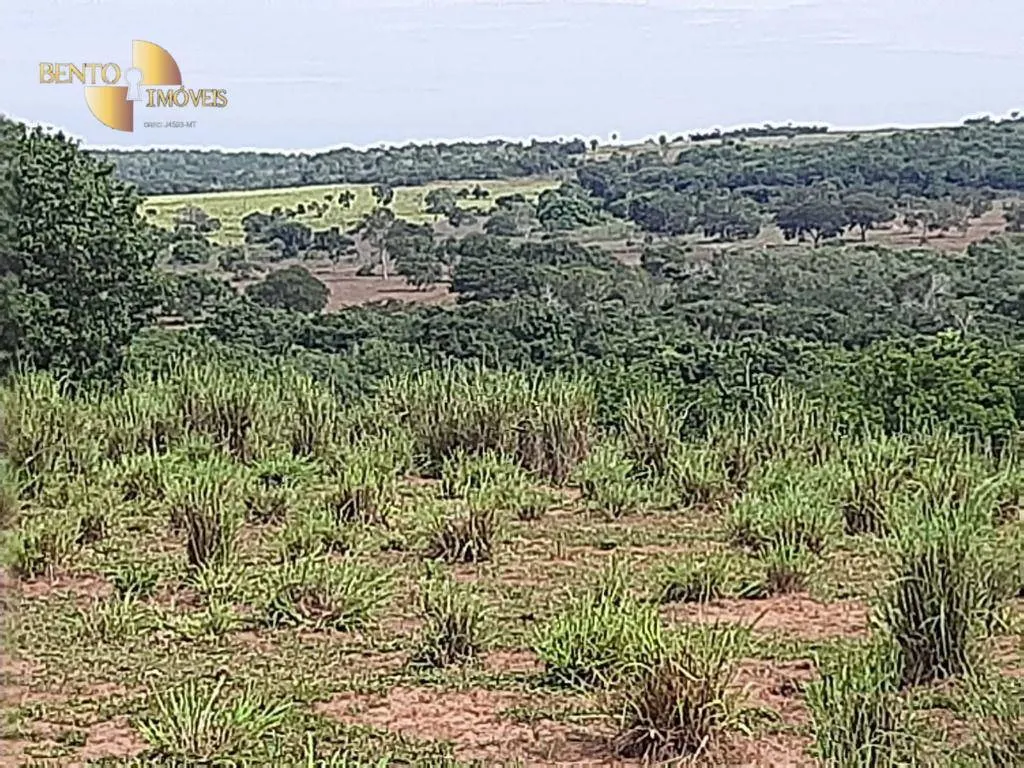 Farm for sale of 608 acres in Chapada dos Guimarães, MT, Brazil