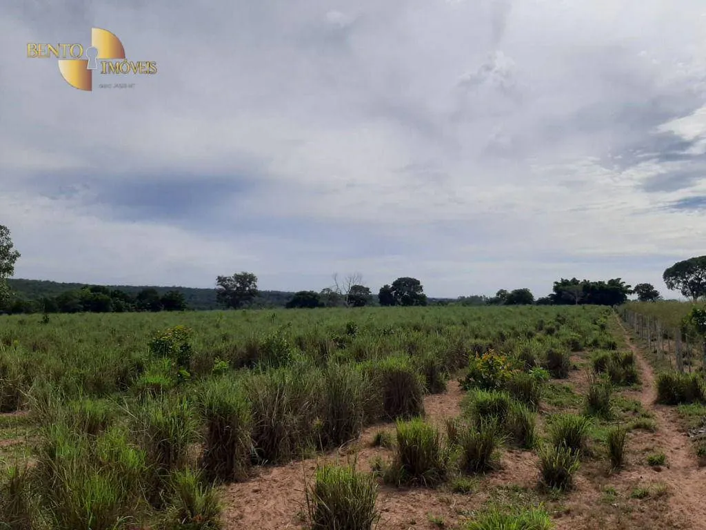 Farm for sale of 608 acres in Chapada dos Guimarães, MT, Brazil