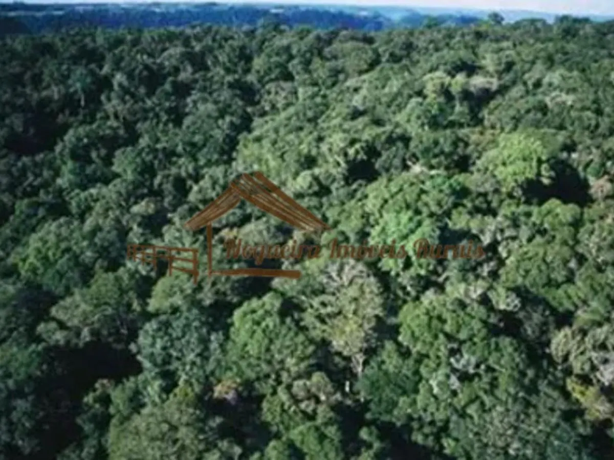 Fazenda à venda de 774 ha em Apiaí, SP, Brasil