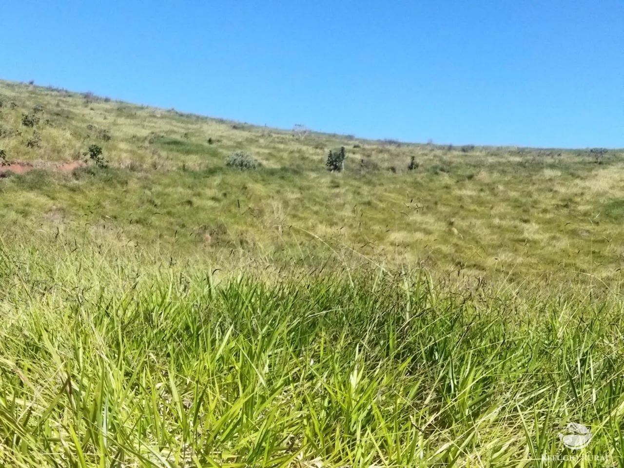 Terreno à venda de 3 ha em São José dos Campos, SP, Brasil