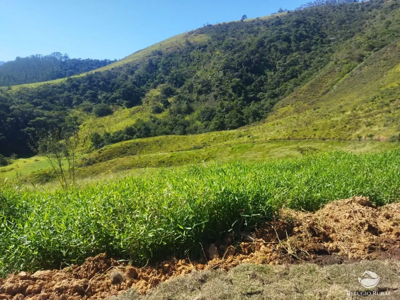 Terreno à venda de 3 ha em São José dos Campos, SP, Brasil