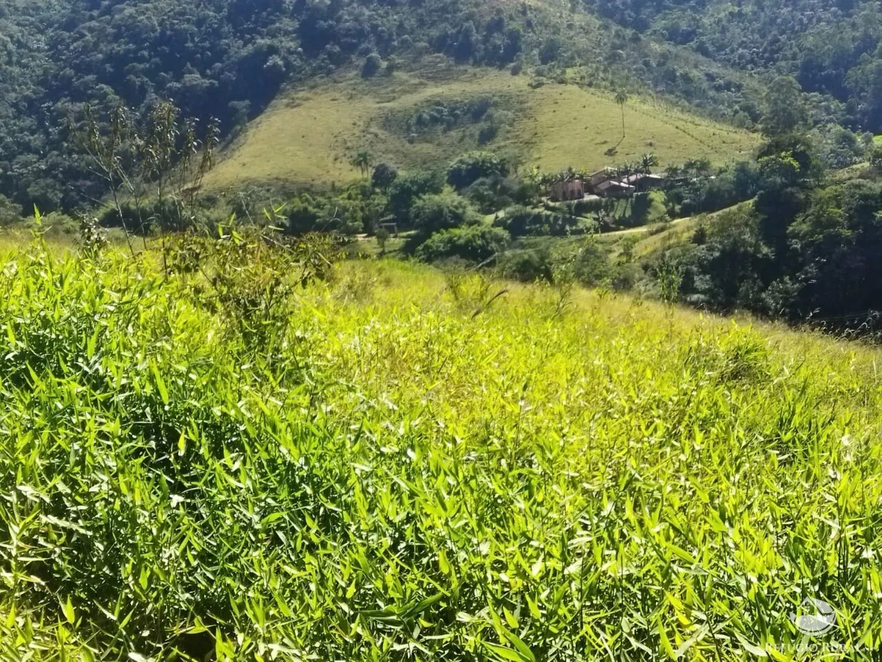 Terreno à venda de 3 ha em São José dos Campos, SP, Brasil