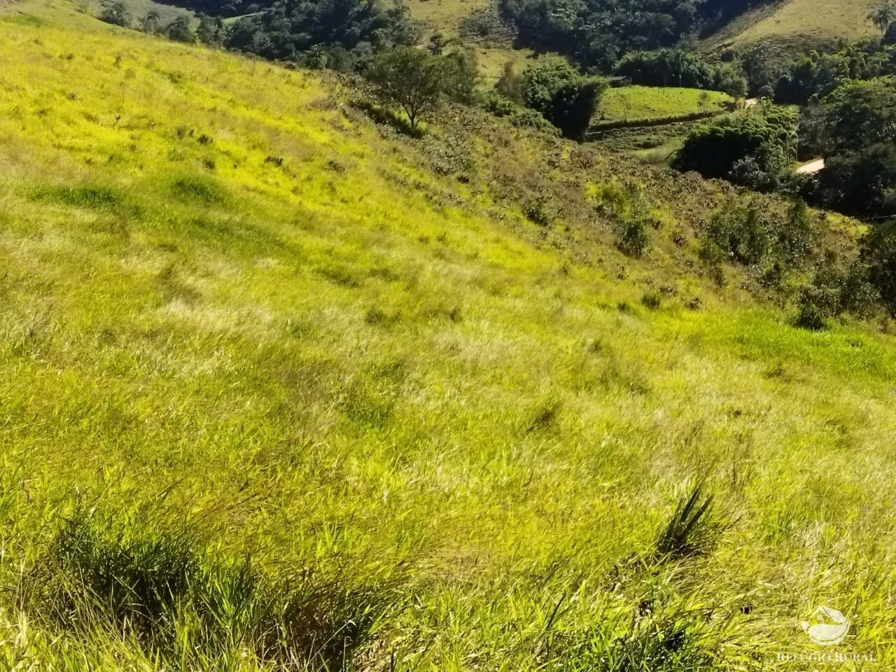 Terreno à venda de 3 ha em São José dos Campos, SP, Brasil