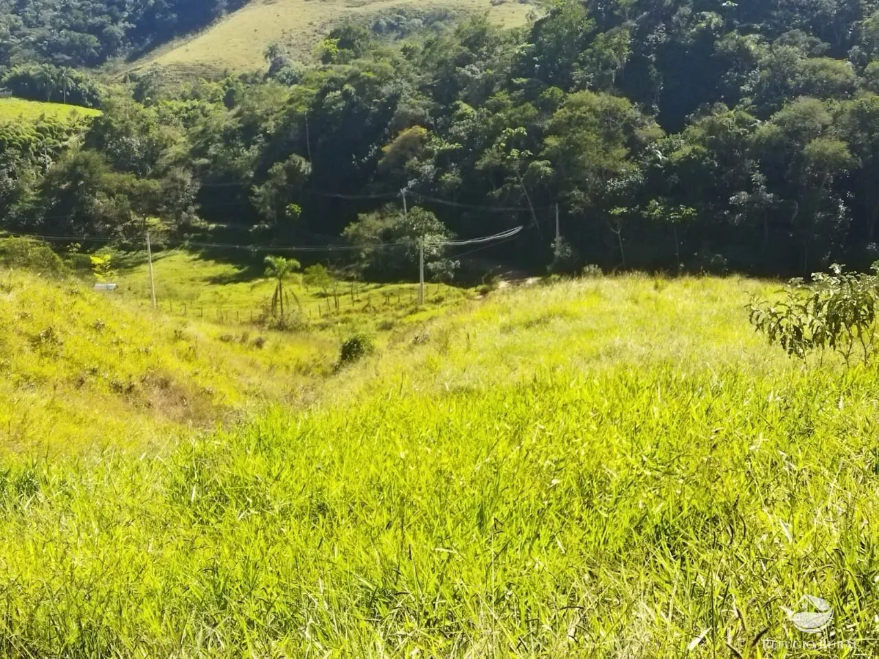 Terreno à venda de 3 ha em São José dos Campos, SP, Brasil