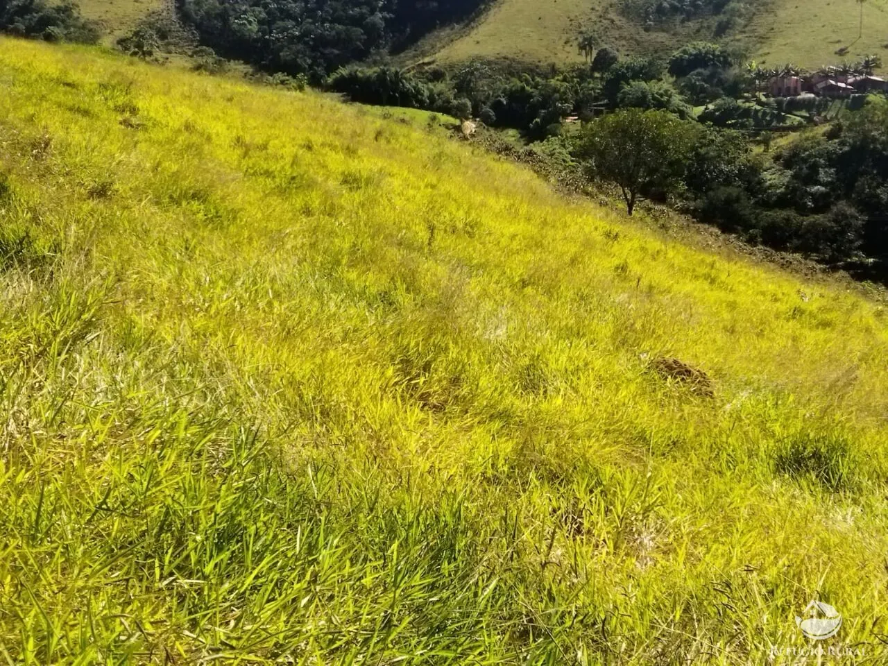 Terreno à venda de 3 ha em São José dos Campos, SP, Brasil