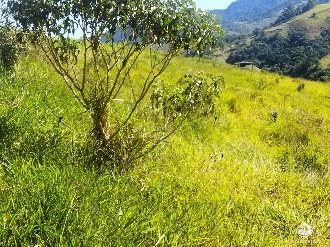 Terreno à venda de 3 ha em São José dos Campos, SP, Brasil