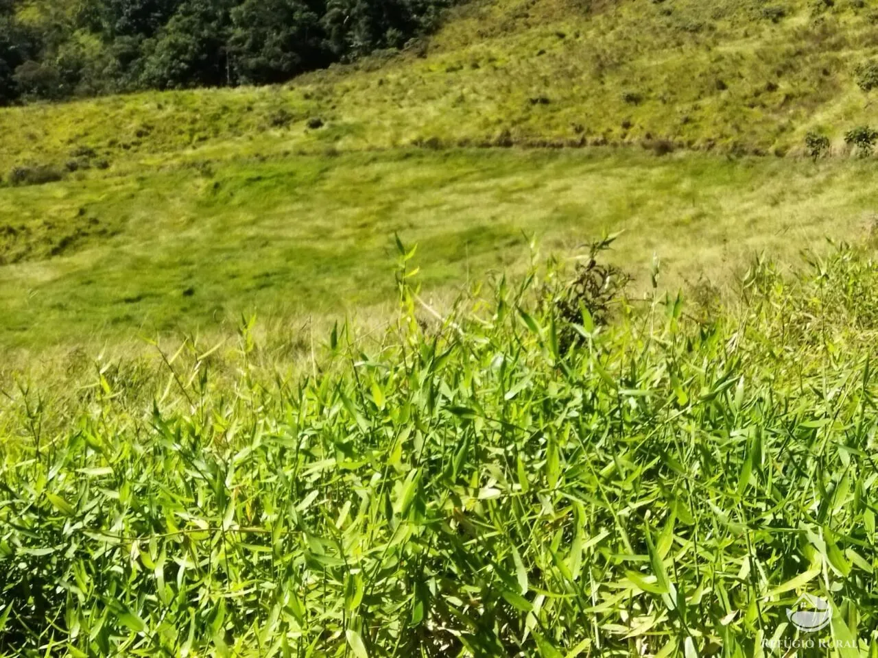 Terreno à venda de 3 ha em São José dos Campos, SP, Brasil