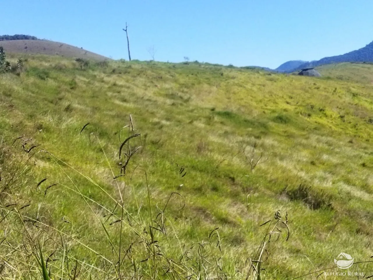 Terreno à venda de 3 ha em São José dos Campos, SP, Brasil