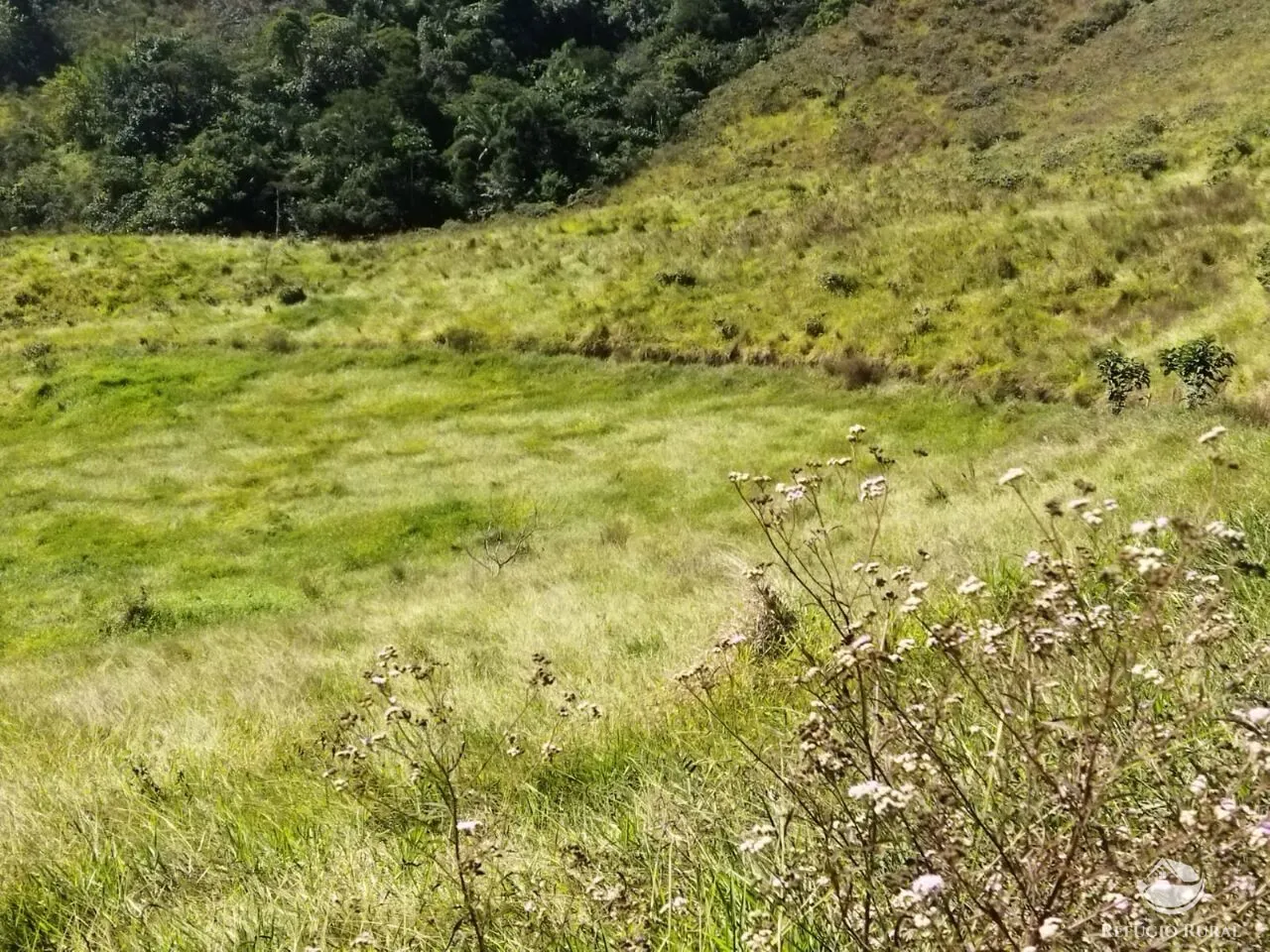 Terreno à venda de 3 ha em São José dos Campos, SP, Brasil
