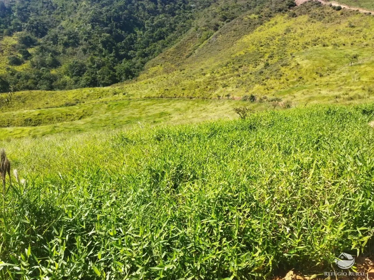 Terreno à venda de 3 ha em São José dos Campos, SP, Brasil