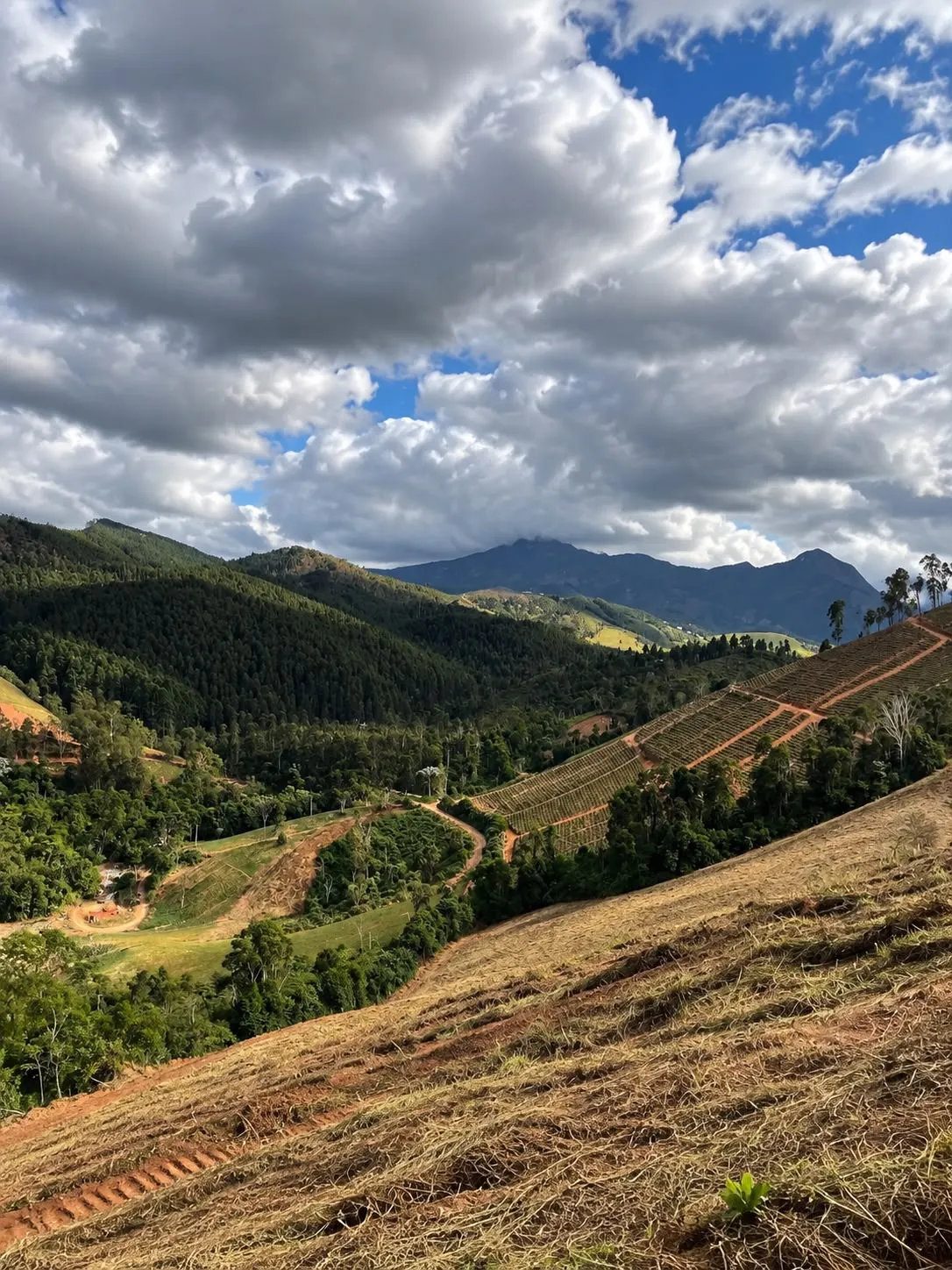 Fazenda à venda de 12 ha em Domingos Martins, ES, Brasil
