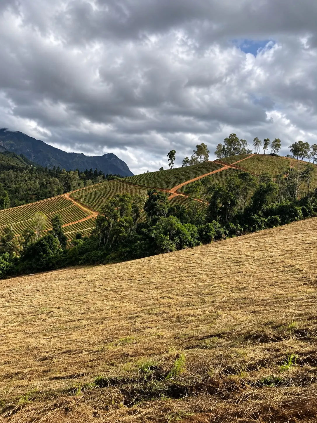 Fazenda à venda de 12 ha em Domingos Martins, ES, Brasil