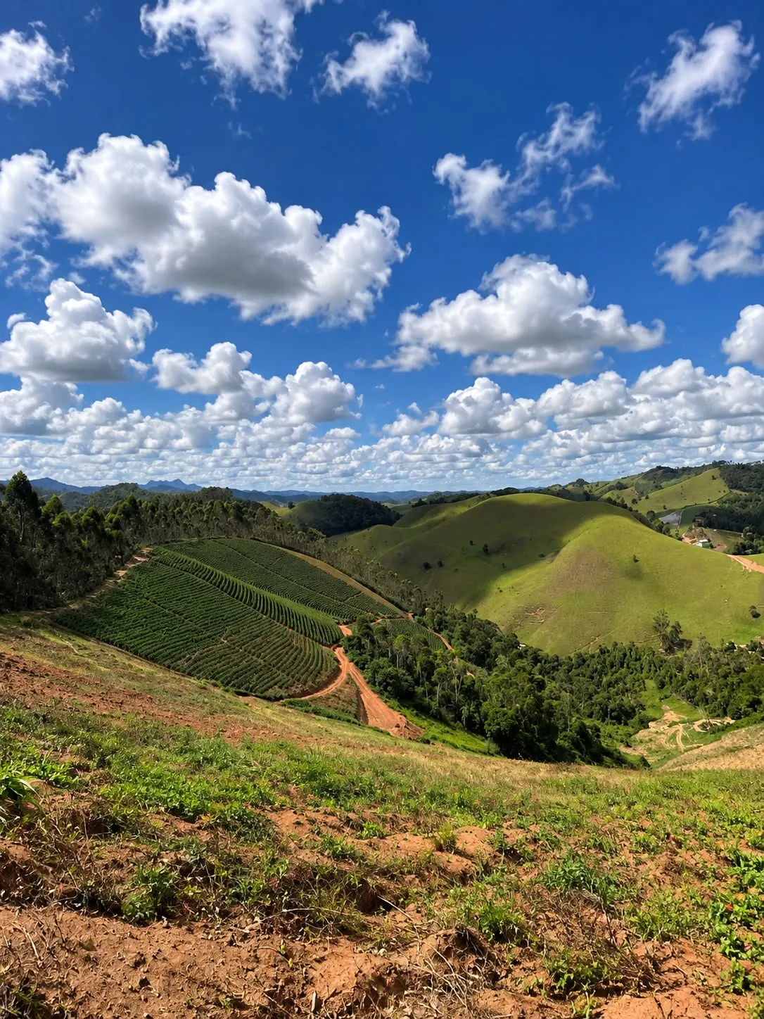 Fazenda à venda de 12 ha em Domingos Martins, ES, Brasil