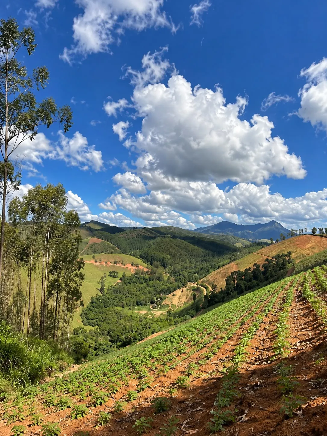 Fazenda à venda de 12 ha em Domingos Martins, ES, Brasil