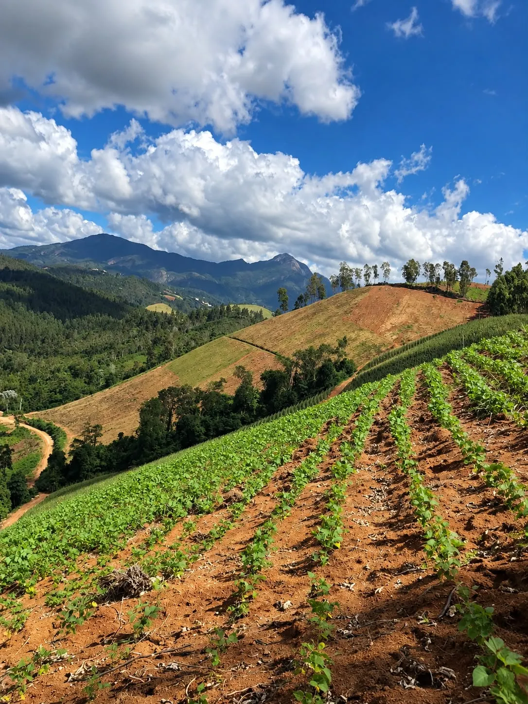 Fazenda à venda de 12 ha em Domingos Martins, ES, Brasil