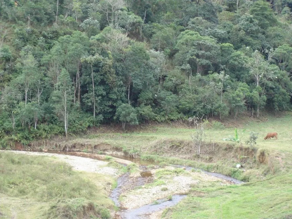 Fazenda à venda de 55 ha em Piquete, SP, Brasil