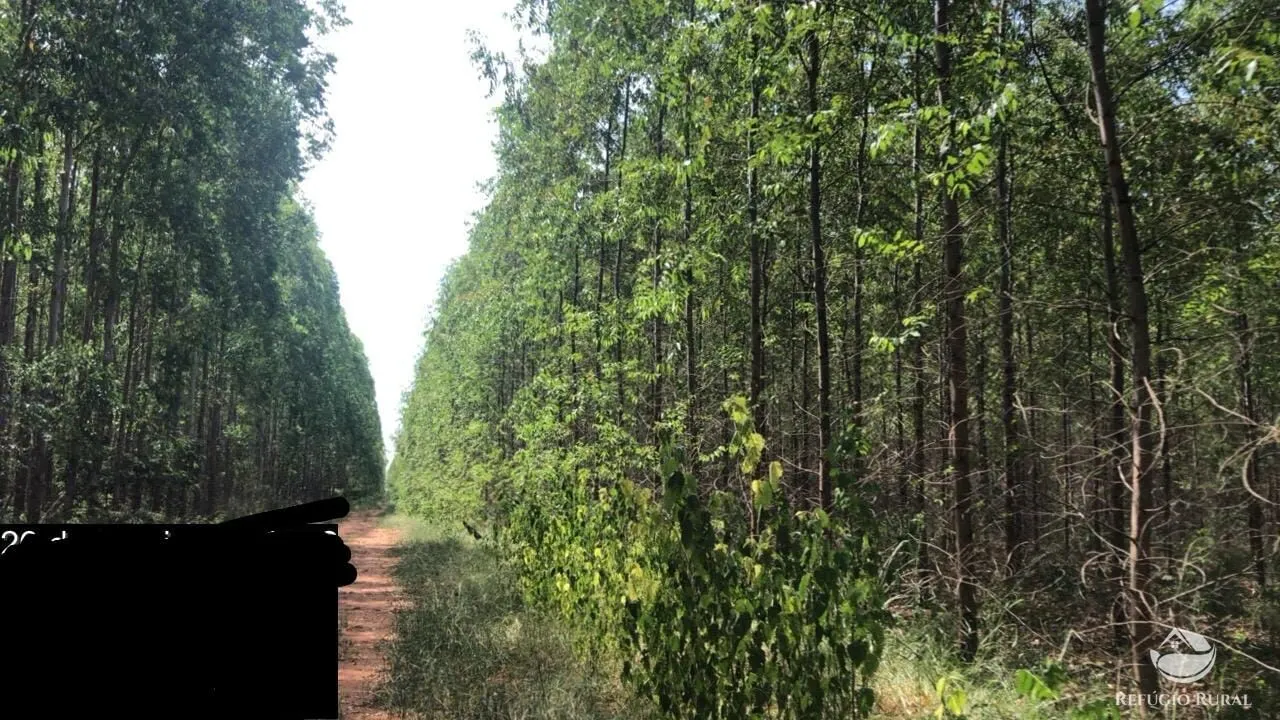 Fazenda à venda de 8.712 ha em Uberlândia, MG, Brasil