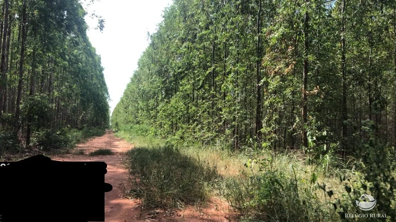 Fazenda à venda de 8.712 ha em Uberlândia, MG, Brasil