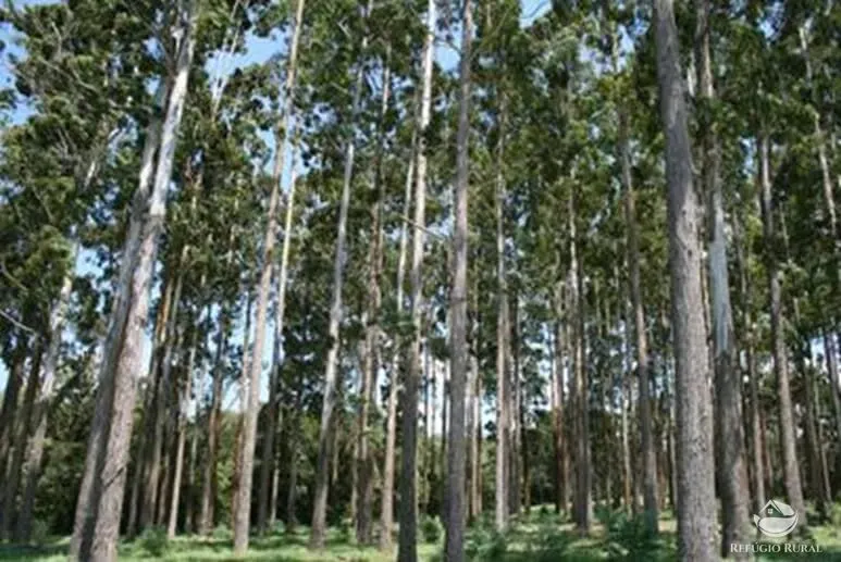 Fazenda à venda de 8.712 ha em Uberlândia, MG, Brasil