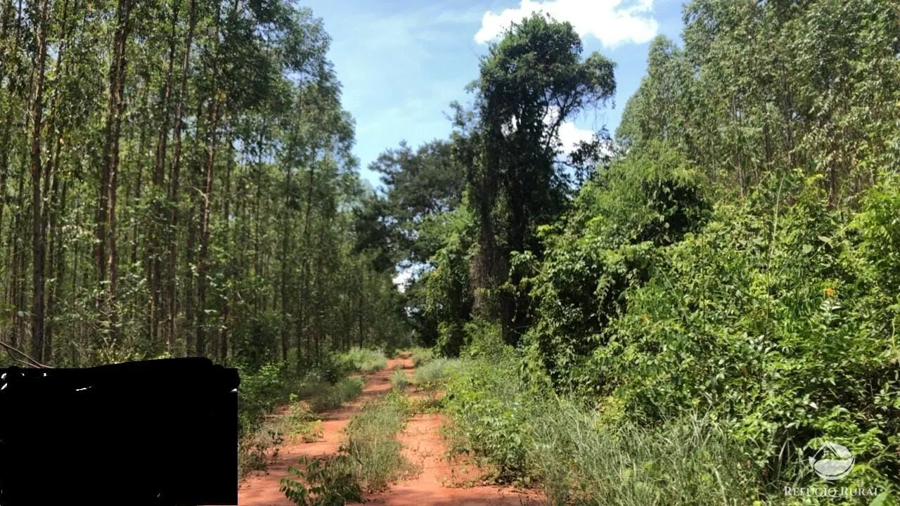 Fazenda à venda de 8.712 ha em Uberlândia, MG, Brasil