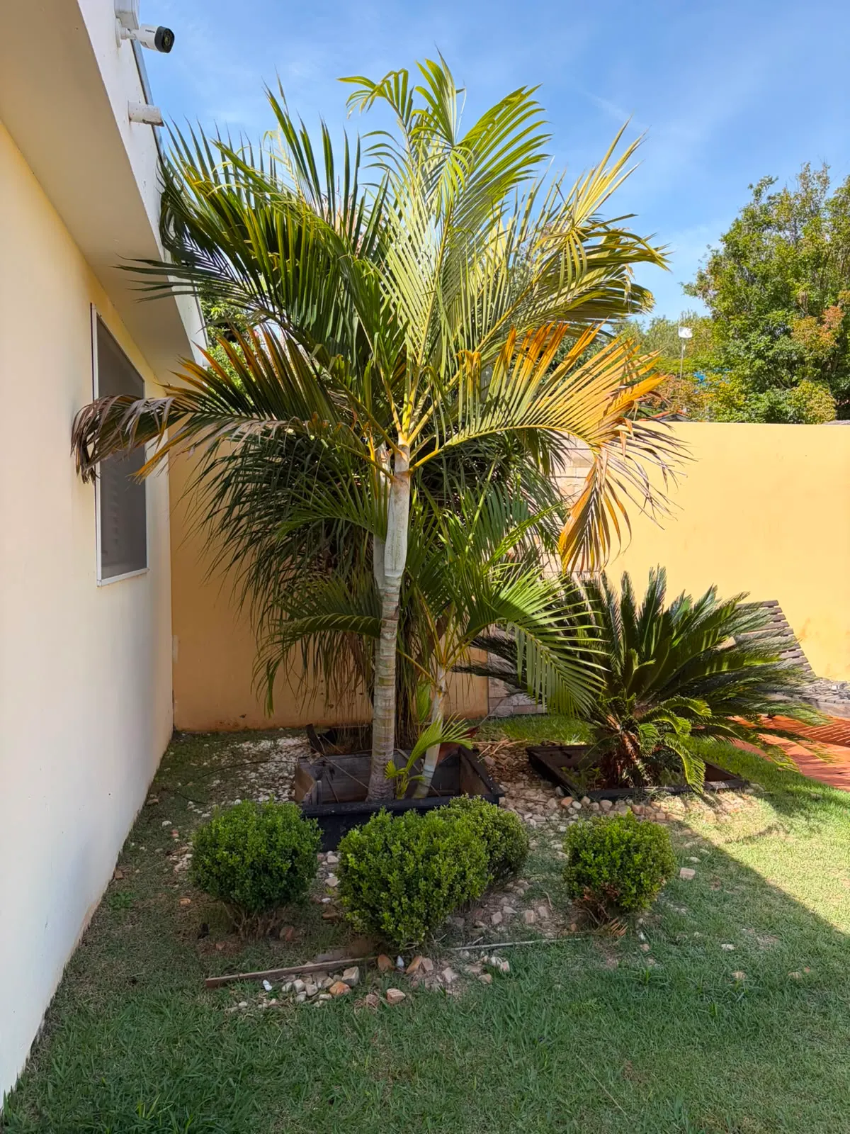 Chácara à venda de 2.200 m² em Piraju, SP, Brasil