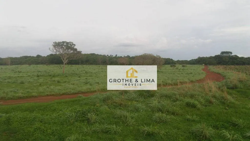 Fazenda à venda de 12.000 ha em Araguacema, TO, Brasil