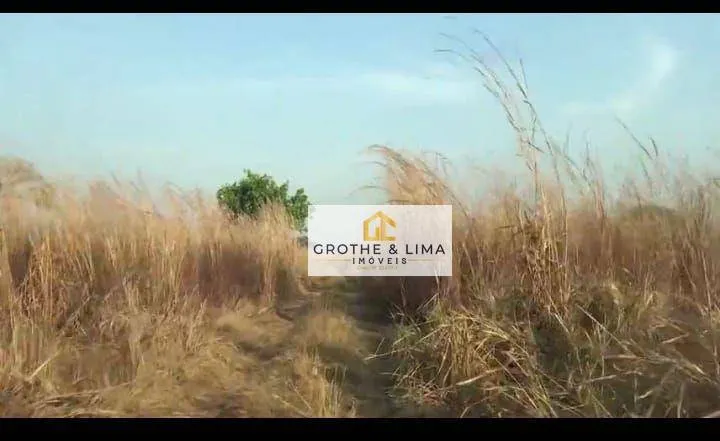 Fazenda à venda de 12.000 ha em Araguacema, TO, Brasil