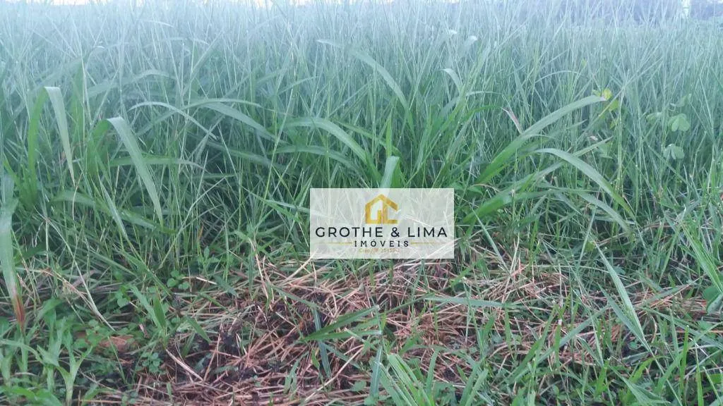 Fazenda à venda de 12.000 ha em Araguacema, TO, Brasil