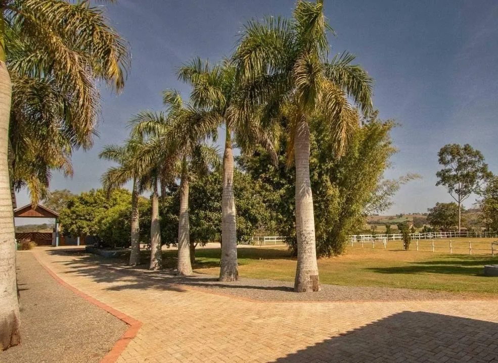 Sítio à venda de 48 ha em Quadra, SP, Brasil