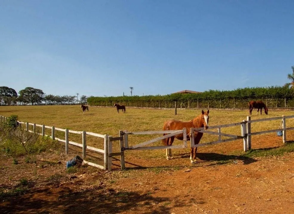 Sítio à venda de 48 ha em Quadra, SP, Brasil