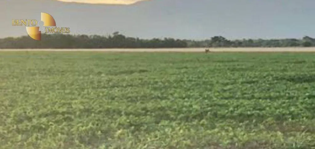 Farm for sale of 3,459 acres in Jangada, MT, Brazil