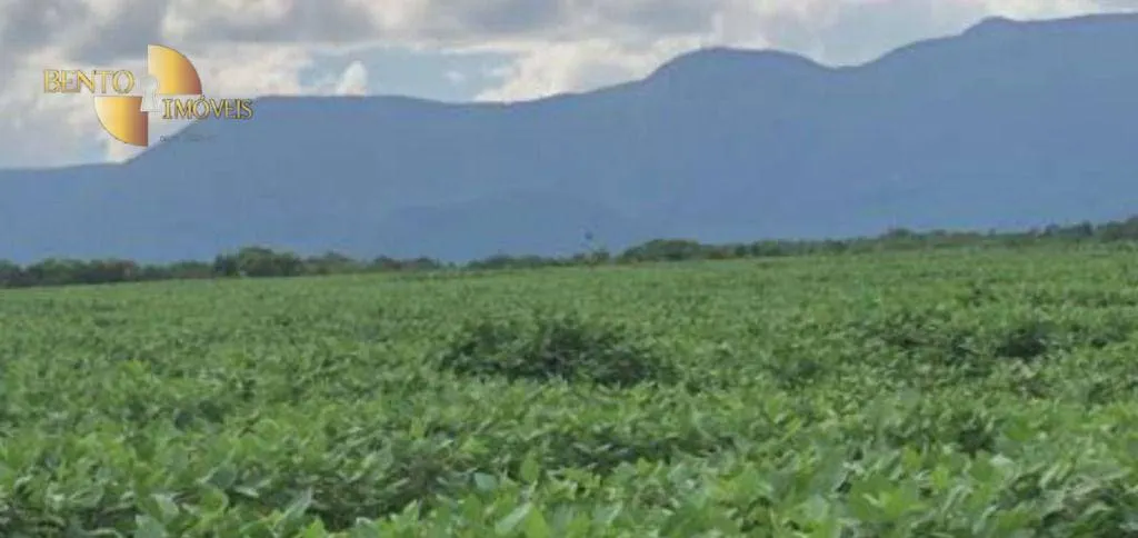Farm for sale of 3,459 acres in Jangada, MT, Brazil