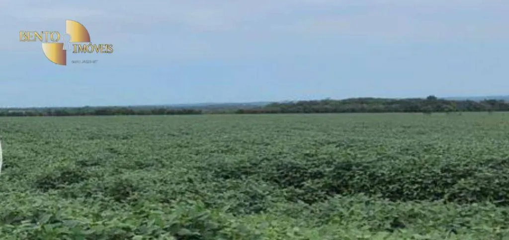Farm for sale of 3,459 acres in Jangada, MT, Brazil