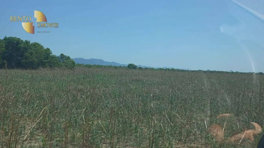 Farm for sale of 3,459 acres in Jangada, MT, Brazil
