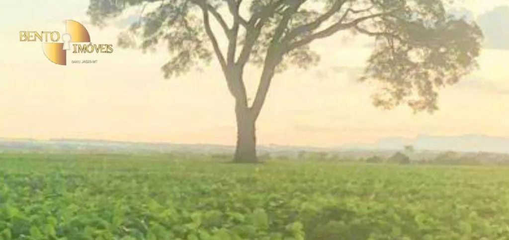 Farm for sale of 3,459 acres in Jangada, MT, Brazil