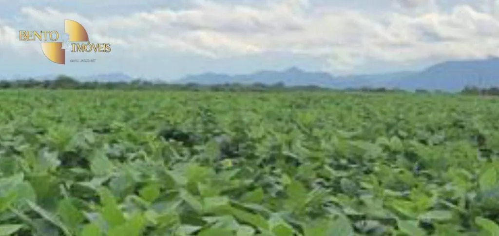 Farm for sale of 3,459 acres in Jangada, MT, Brazil