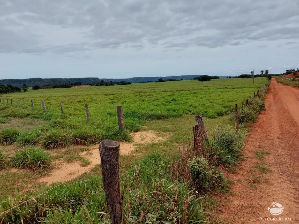 Farm for sale of 48,974 acres in Goiatins, TO, Brazil