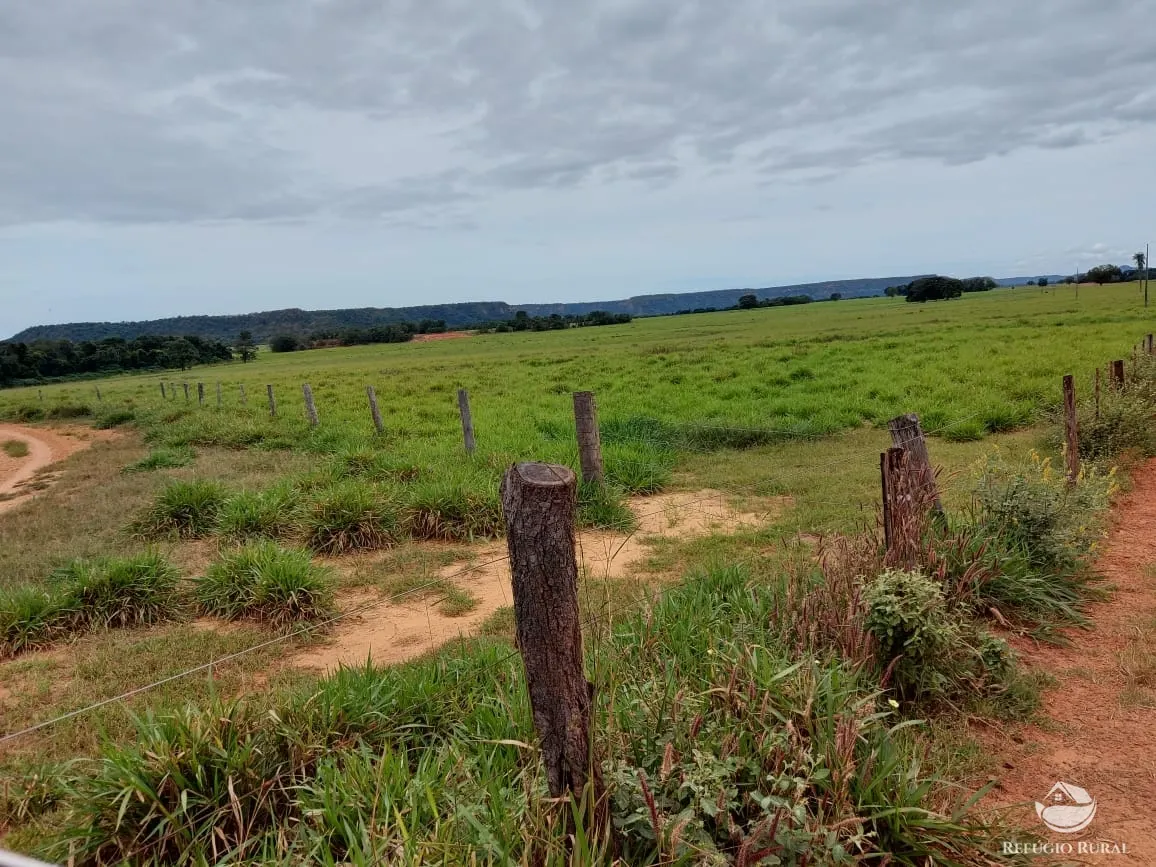 Farm for sale of 48,974 acres in Goiatins, TO, Brazil