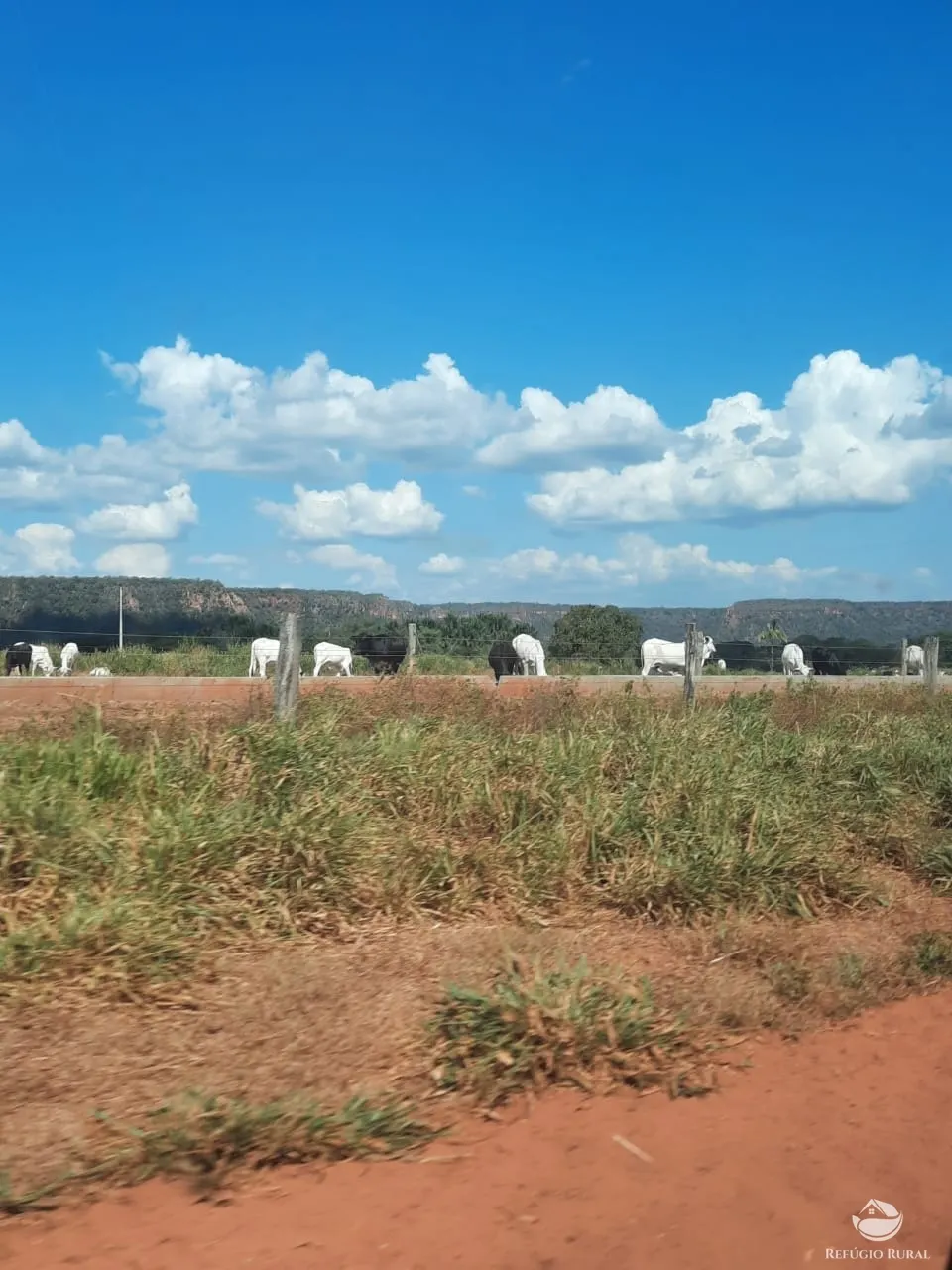 Farm for sale of 48,974 acres in Goiatins, TO, Brazil