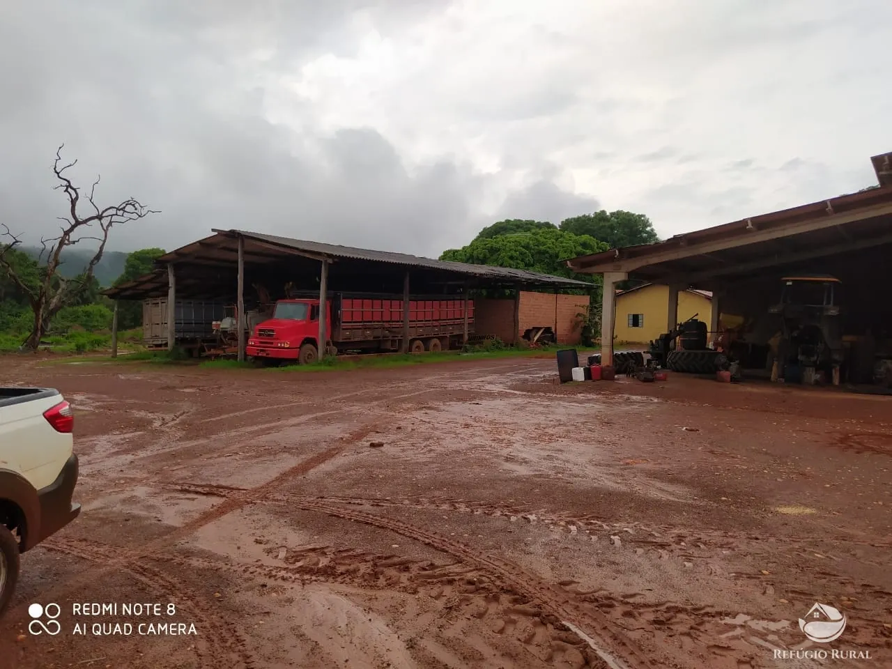 Farm for sale of 48,974 acres in Goiatins, TO, Brazil