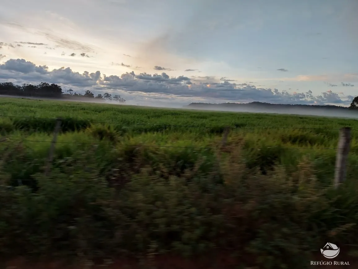 Farm for sale of 48,974 acres in Goiatins, TO, Brazil