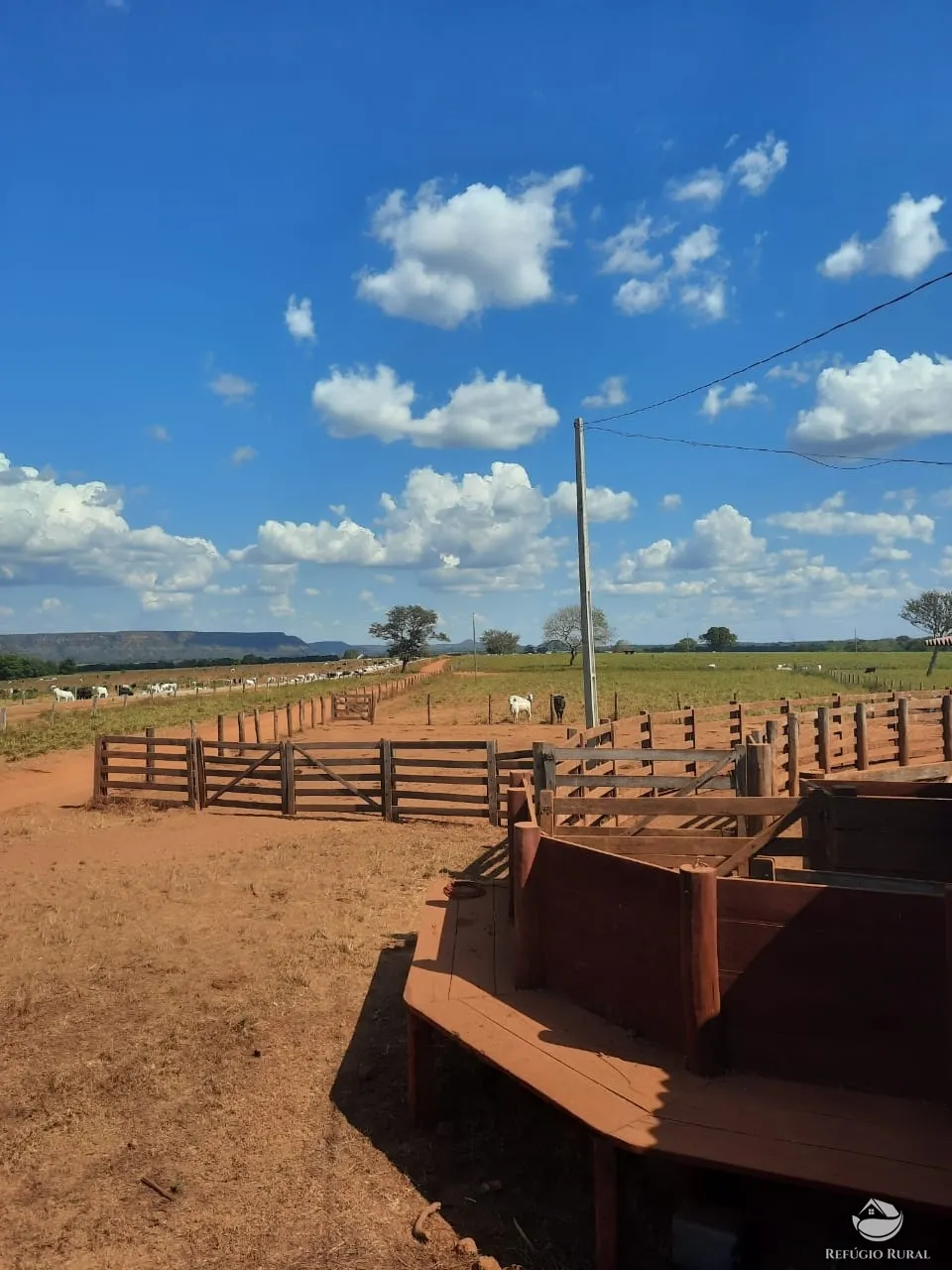 Farm for sale of 48,974 acres in Goiatins, TO, Brazil