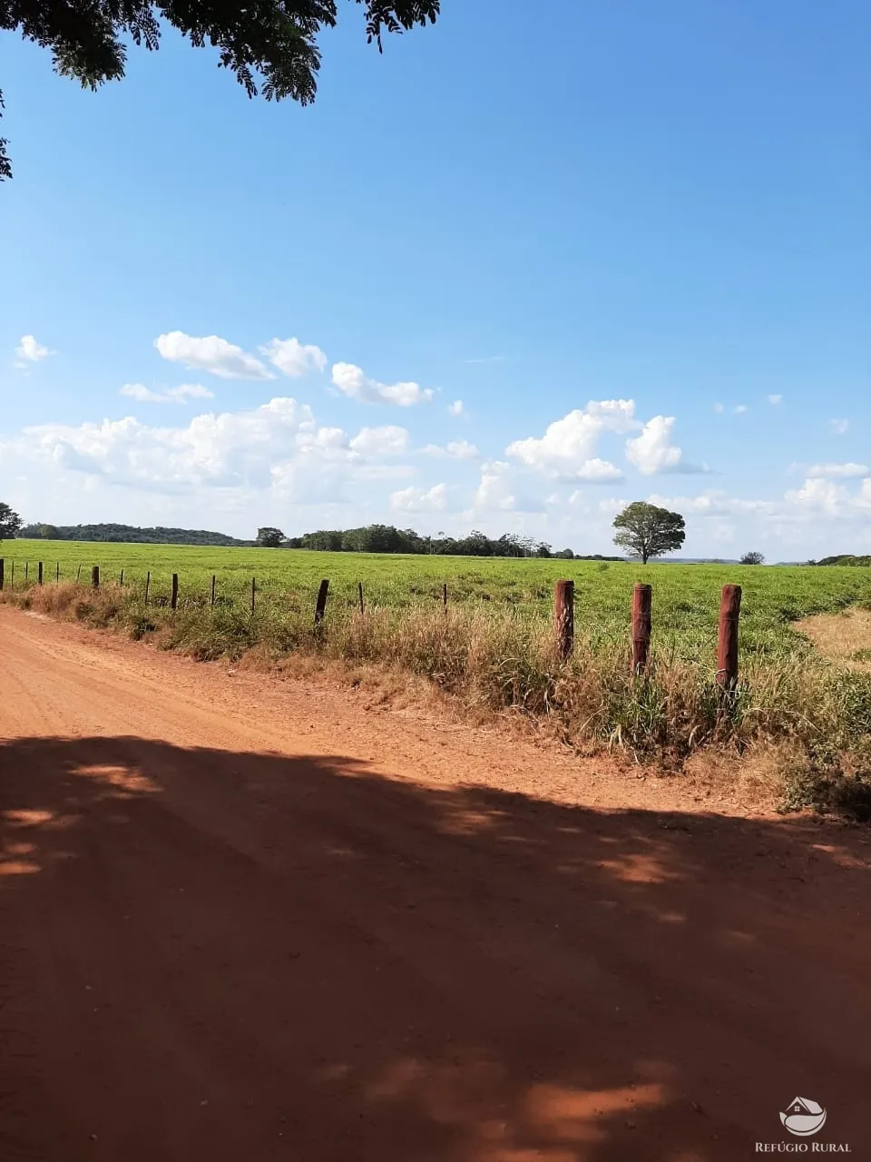 Farm for sale of 48,974 acres in Goiatins, TO, Brazil