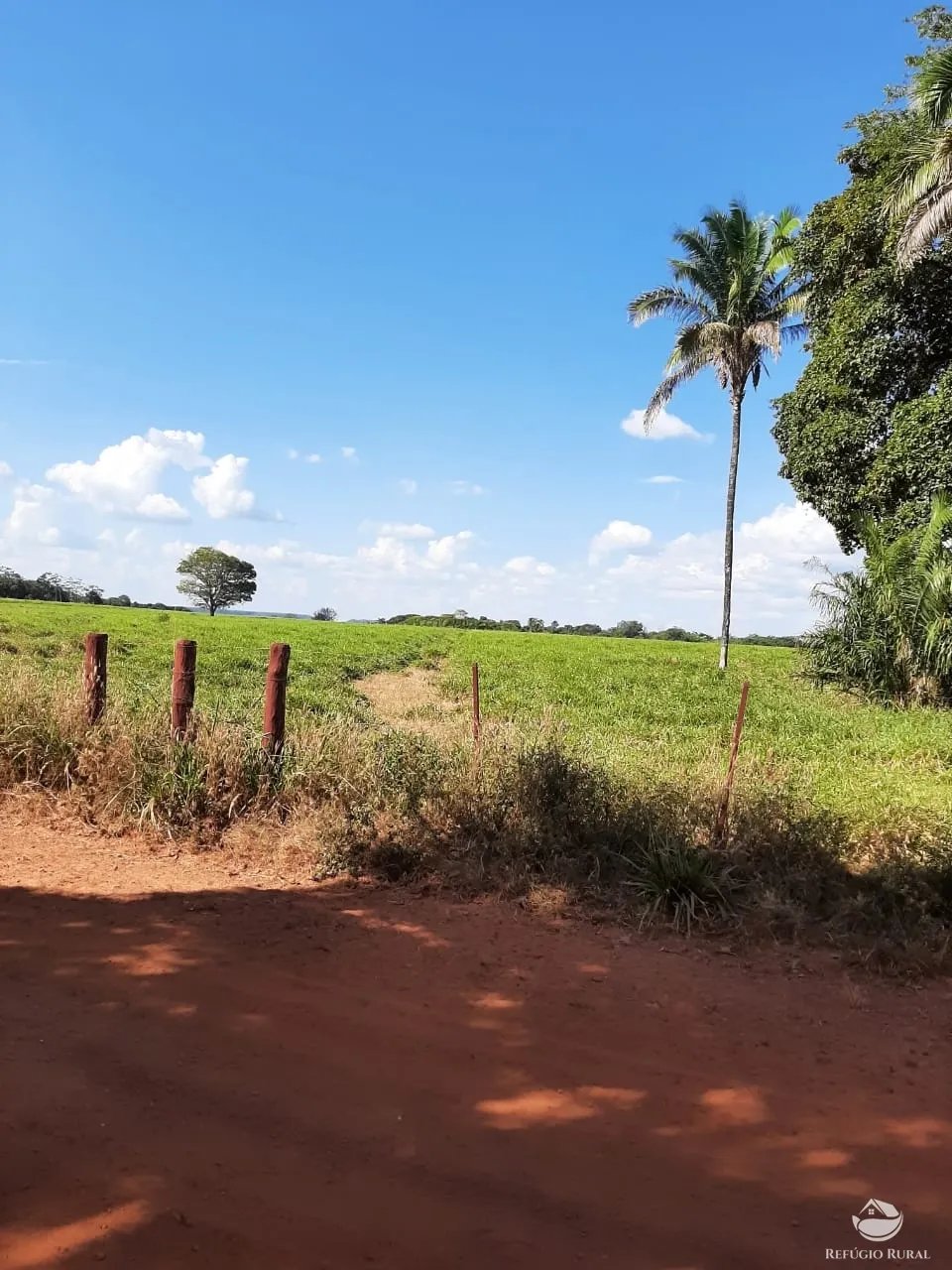 Farm for sale of 48,974 acres in Goiatins, TO, Brazil